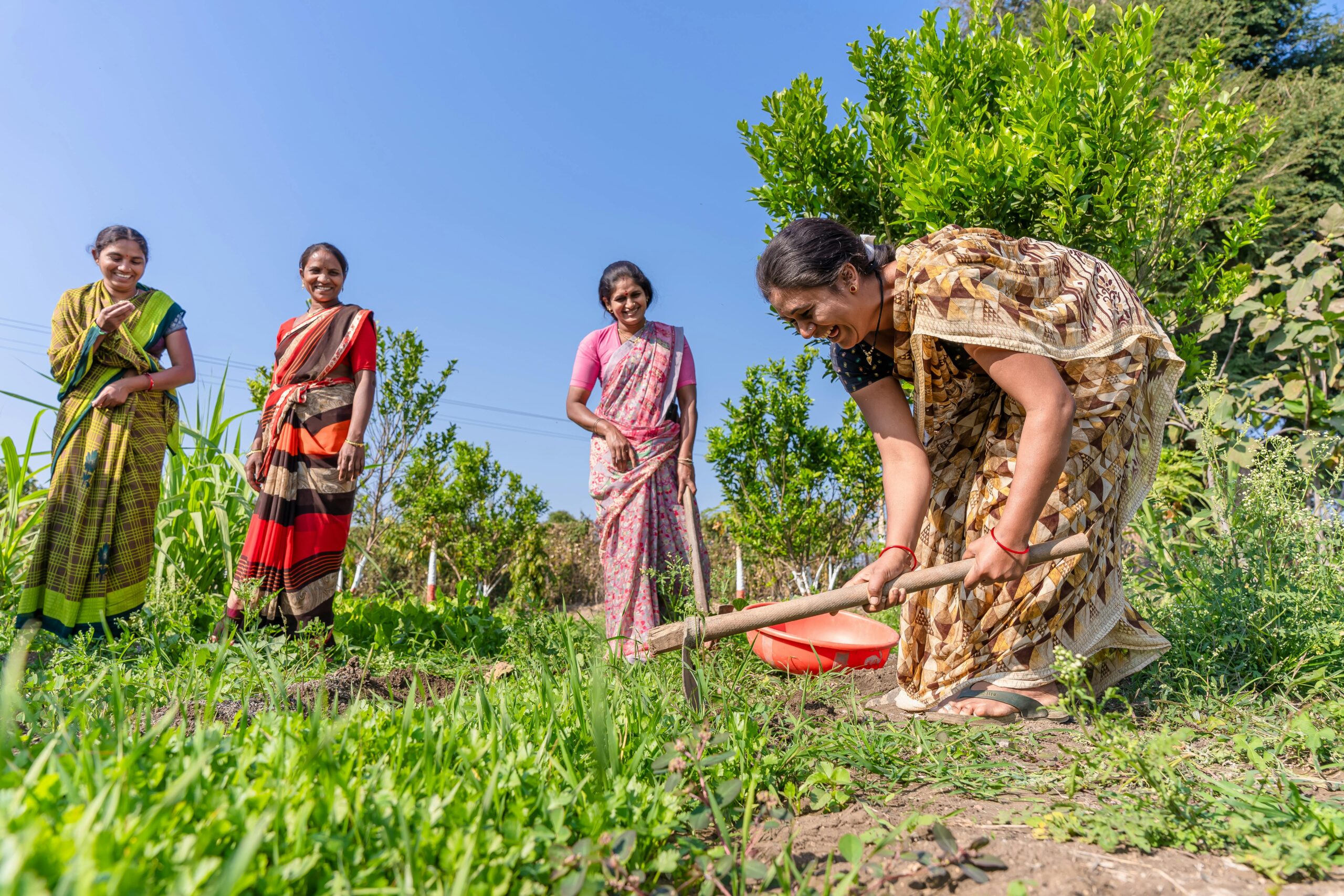 Group of Indian women farmers working joyfully in a lush green field under a clear blue sky.