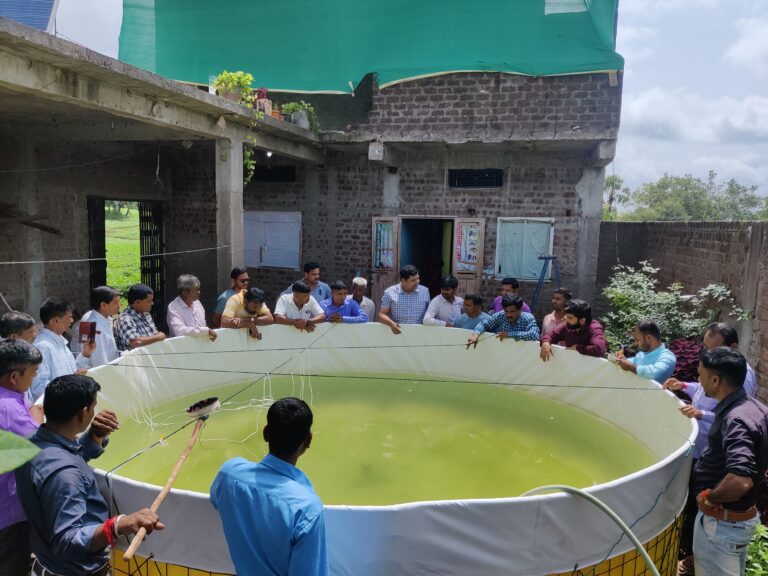 Projects img 20220818 110404