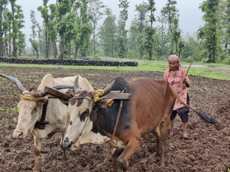 Projects ramilaben dilipbhai gangorde 2