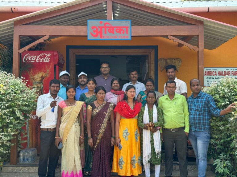 Projects whatsapp image 2024 11 18 at 07.52.51 2