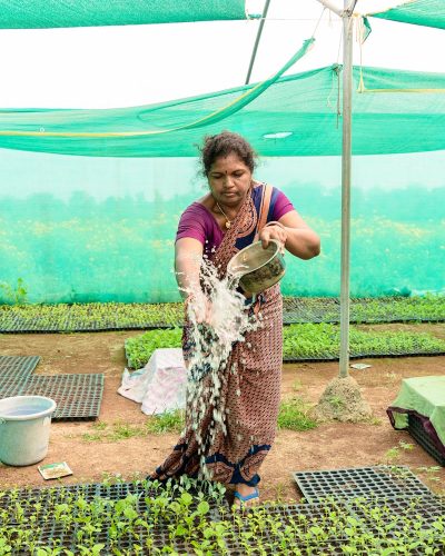 A woman tends to seedlings, nurturing growth in a vibrant greenhouse setting.